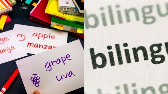 *Bilingual schools in Madrid - Steps into Spain